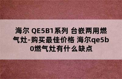 Haier/海尔 QE5B1系列 台嵌两用燃气灶-购买最佳价格 海尔qe5b0燃气灶有什么缺点